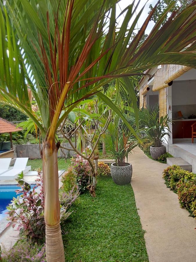 Okaoki Homestay Αμέντ Εξωτερικό φωτογραφία